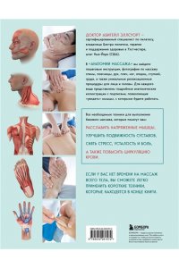 Эллсуорт А. Анатомия массажа. Основы массажа нижней и верхней части тела с анатомическими иллюстрациями