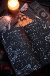 Цимеринг А. Как поймать монстра. Круг второй