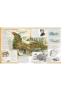 Динозавроведение. Поиски затерянного мира Тайны и сокровища