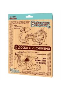 НАБОР Д/ВЫЖИГАНИЯ 2 ДОЩЕЧКИ ДРАКОНЫ (6+) /БЛИСТЕР/ *ДК* АРТ.02794