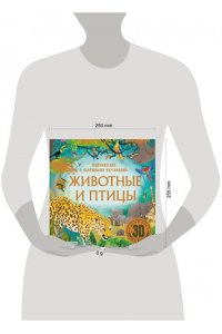 . Животные и птицы