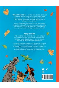 Симбирская Ю. Феликс Булкин