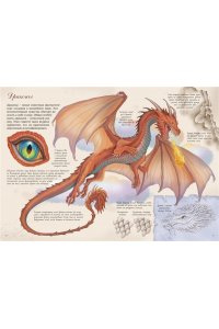 Барсотти Э. Волшебные существа. Энциклопедия