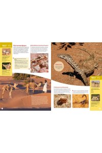 Байе К. Планета Земля. Факты и фотографии