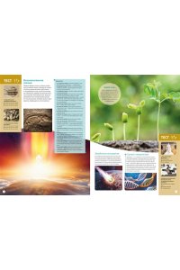 Байе К. Планета Земля. Факты и фотографии