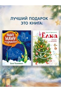 Бракко Д. Новый год на Зелёной, 25