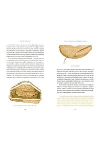 Мария Сухова Удмуртские мифы. От Инмара и Матери солнца до свадьбы леших и половинчатого человека