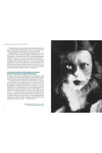 Маркезини Р., Тонутти С. Бестиарий. Животные в ритуалах, искусстве и фольклоре