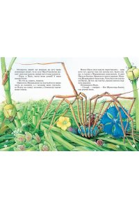 Бианки В. Большая книга сказок