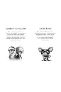 Пайнкофер М. Дело №1. Нефритовый дракон