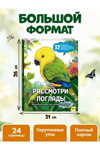 Рассмотри и погладь! (попугай)