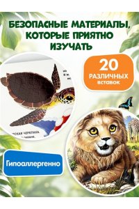 Рассмотри и погладь! (попугай)
