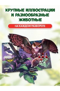 Рассмотри и погладь! (попугай)