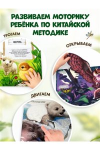 Рассмотри и погладь! (попугай)