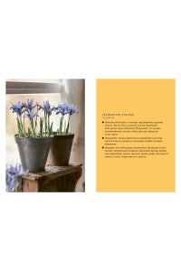 Викинг М. Hygge дома: Секреты уюта по-датски