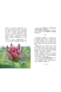 Ламбертус Х. Зачарованный остров (#2)