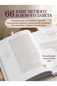 Библия в русском синодальном переводе с полями для записей