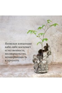 Видалинг Р. Wabi Sabi. Глоток счастья по-японски