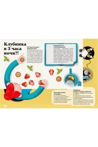 Поллеро Л., Юри А. Путешествие малыша. Дневник беременности будущей мамы