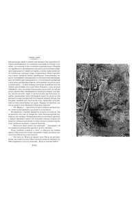 Золя Э. Проступок аббата Муре. Страница любви (с илл.)