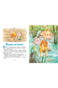 Ромашки в январе