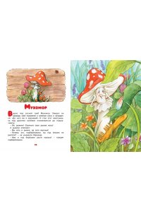 Ромашки в январе