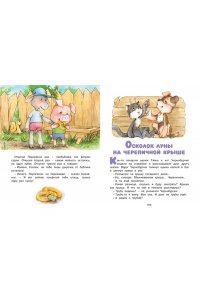 Ромашки в январе