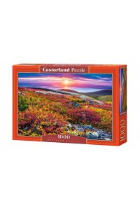ПАЗЛЫ 1000 CASTORLAND СЕВЕРНАЯ ПАЛИТРА C-103539