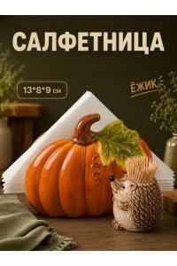 САЛФЕТНИЦА С ВАЗОЧКОЙ ПОД ЗУБОЧИСТКИ13*8*9 СМ 