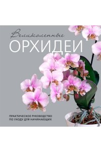 Бачурина Е.В. Великолепные орхидеи. Практичное руководство по уходу для начинающих