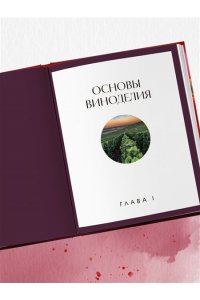 Горбачева Е.М. Вино к еде. Искусство идеального сочетания