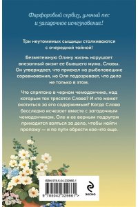 Калинина Д.А. Загадка тихого озера (pocket)