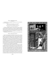Салье М. Тысяча и одна ночь. Книга 2. Ночи 271-719 (иллюстр. Н. Ушина)