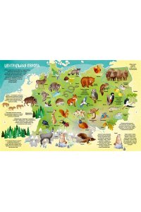 Барсотти И. Мир животных в картинках