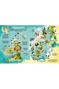 Барсотти И. Мир животных в картинках