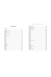 Романа М. Летучий эскадрон. Константинопольский невольник