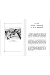 Хилленбранд Л. Фаворит. История легенды