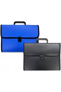 ПАПКА-ПОРТФЕЛЬ А4 12 ОТДВ АСС DJ-396 (3960)