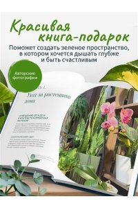 Антон-цветочник Растения в интерьере. Как выбрать, вырастить и красиво разместить комнатные растения в доме