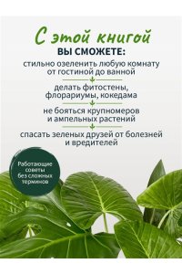 Антон-цветочник Растения в интерьере. Как выбрать, вырастить и красиво разместить комнатные растения в доме