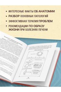Прашнова М.К. Печень без проблем. Гепатолог о том, что разрушает печень и как с этим справиться