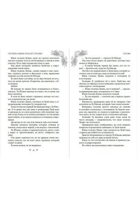 Син С. Госпожа Цзюнь спасает столицу (#5)