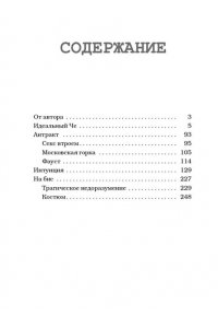 Цыпкин А. Идеальный Че. Интуиция и новые беспринцыпные истории