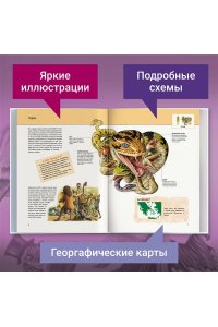 Фантастические существа: полная энциклопедия