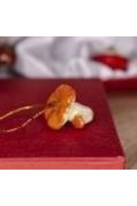 ЛИСИЧКИ ГРИБ (МИНИ) TZ021439