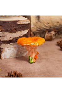 ГРИБ ЛИСИЧКА TZ040352