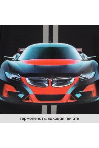 РАНЕЦ КОКОС ЭРГОНОМ СПИНКА 1 ОТД 27*35*13 ERGO LIGHT HOT ROAD КОКОС 213978