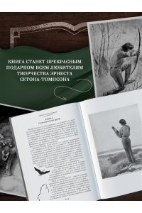 Сетон-Томпсон Э. Рольф в лесах. Лесные рассказы (с илл.)