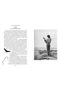 Сетон-Томпсон Э. Рольф в лесах. Лесные рассказы (с илл.)