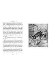 Сетон-Томпсон Э. Рольф в лесах. Лесные рассказы (с илл.)